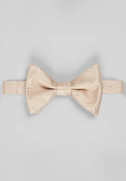 Jos. A. Bank Satiny Natte Solid Big Bow Tie