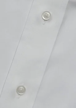 Traveler® Collection Tailored Fit Point Collar Solid Dress Shirt